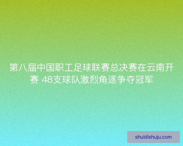 第八届中国职工足球联赛总决赛在云南开赛 48支球队激烈角逐争夺冠军