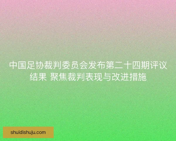 中国足协裁判委员会发布第二十四期评议结果 聚焦裁判表现与改进措施